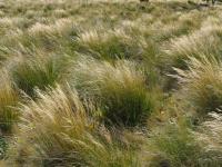 Albums/20060200-New Zealand 2006/20060317-Cook/35